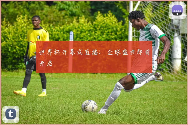 世界杯开幕式直播：全球盛典即将开启