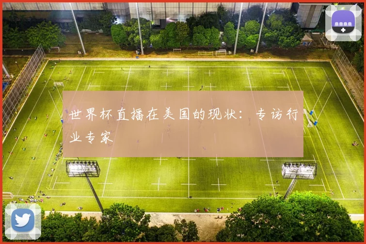世界杯直播在美国的现状：专访行业专家