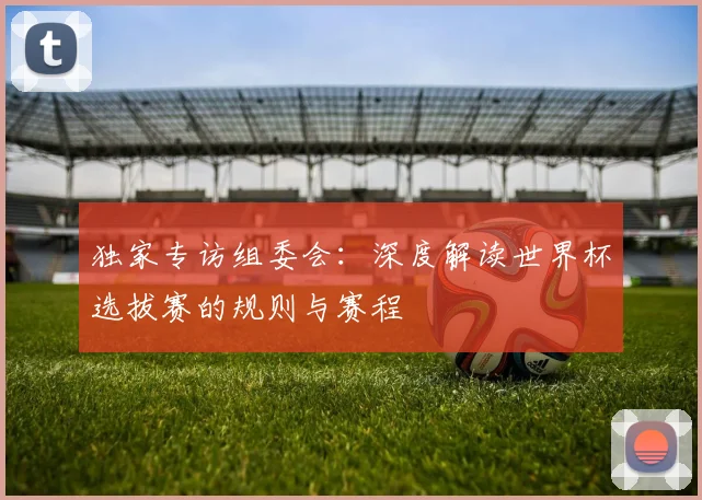 独家专访组委会：深度解读世界杯选拔赛的规则与赛程