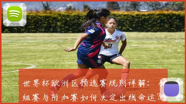 世界杯欧洲区预选赛规则详解：小组赛与附加赛如何决定出线命运？